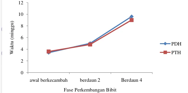 Gambar 7 Contoh tanaman R. apiculata (a) berdaun dua; (b) berdaun empat 