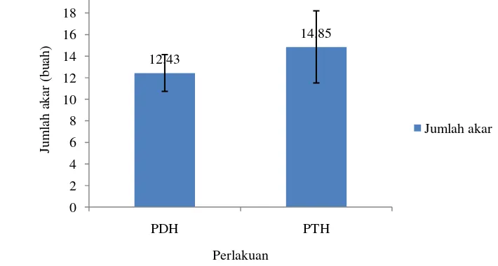 Gambar 13 Perbandingan jumlah rataan akar R. apiculata 