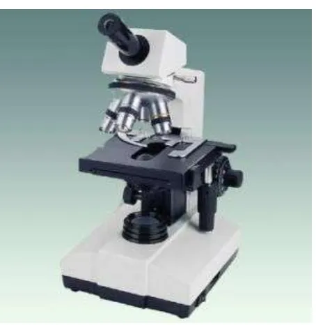 Gambar Mikroskop 