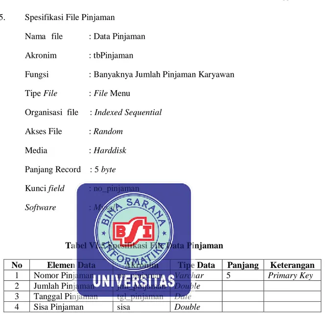 Tabel VI.5 Spesifikasi File Data Pinjaman 