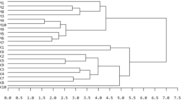 Gambar 2. Dendogram hubungan kekerabatan berdasarkan karakter  morfologi. (Keterangan: jagung berondong stroberi (M), jagung berondong kuning (K), 1-10 = menunjukkan nomor tanaman)