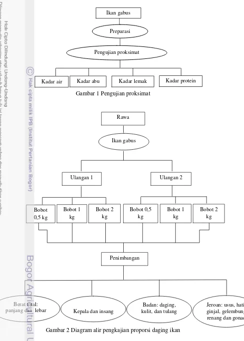 Gambar 1 Pengujian proksimat 