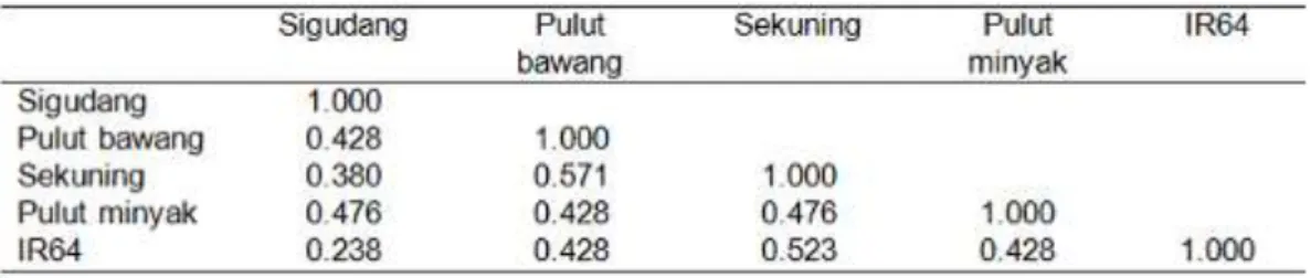 Tabel 3. Matriks similaritas lima aksesi padi lokal asal Rokan Hilir Riau 