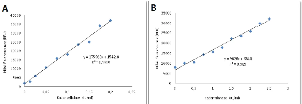 Gambar 3. Kurva standar untuk menentukan kadar enzim (A) selulase; (B) xilanase 