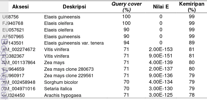 Tabel  4.  Contoh tingkat kemiripan sequense sampel (Tenera) dengan informasi sequense SAD yang terdeposit di Bank gen, NCBI 