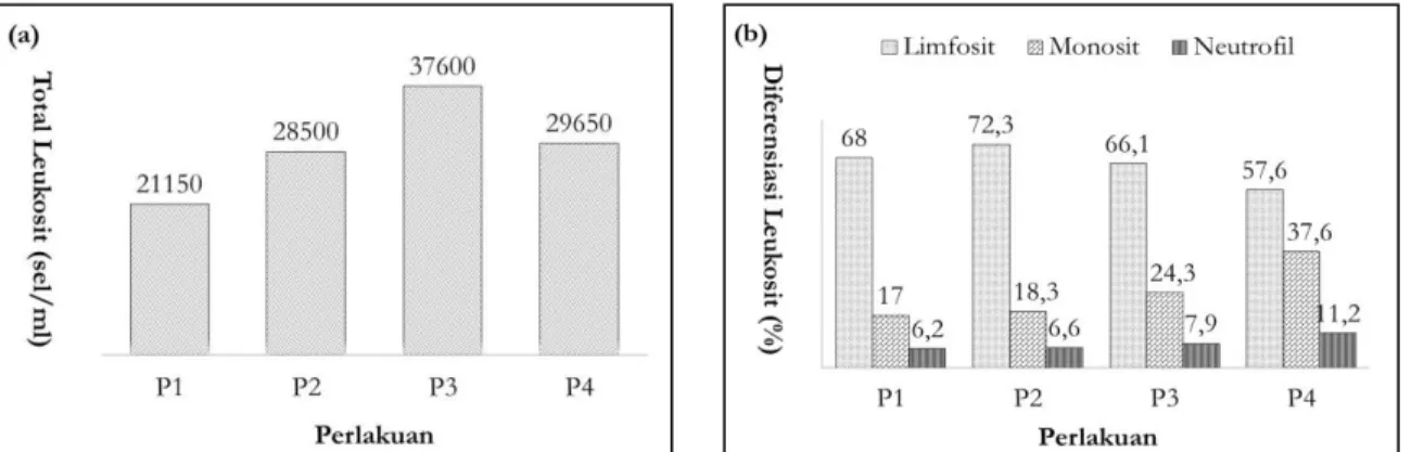 Gambar 2. Hasil pengamatan leukosit darah ikan mas (a) total leukosit (sel/ml) (b) diferensiasi  leukosit (%) 