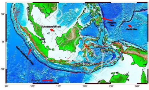 Gambar 1.1 Peta Tektonik Indonesia   (Peta Sumber dan Bahaya Gempa Indonesia, 2017) 