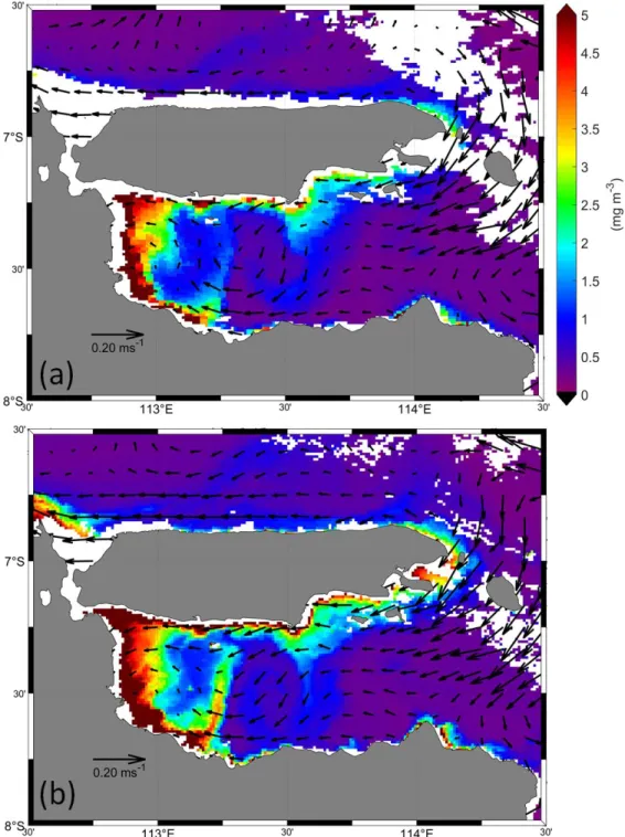 Gambar 2. Distribusi konsentrasi klorofil-a dan arus permukaan pada tanggal (a) 5 Juni 2019 dan (b) 6 Juni  2019 di perairan Selat Madura
