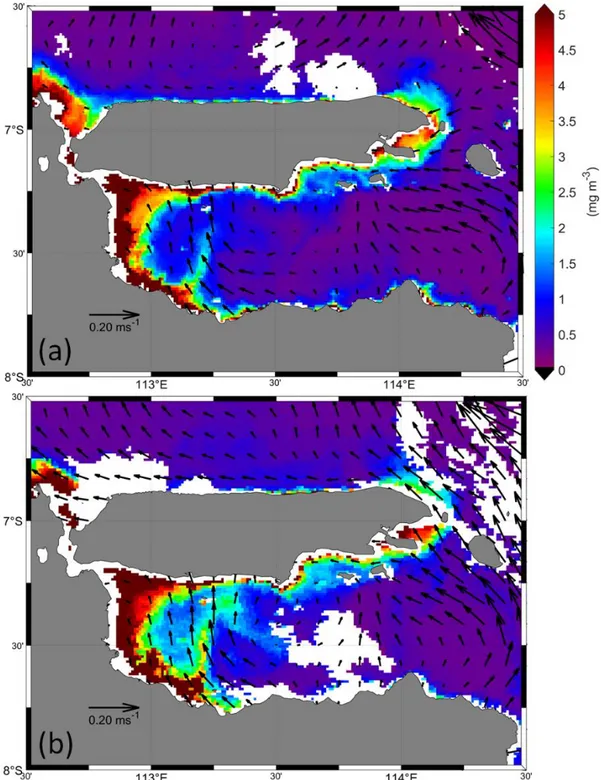 Figure 3. Distribution of chlorophyll-a concentration overlay with surface current on (a) 10 June 2019 and  (b) 11 June 2019 in the Strait of Madura