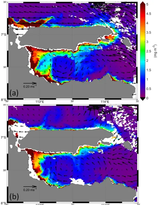Gambar 4. Distribusi klorofil-a dan arus permukaan pada tanggal (a) 17 Juni 2019 dan (b) 19 Juni 2019 di  perairan Selat Madura