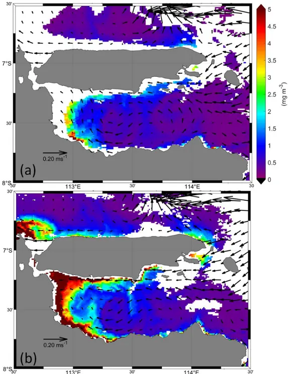 Figure 5. Chlorophyll-a distribution overlay with surface current on (a) 21 June 2019 and (b) 22 June 2019 in  the Strait of Madura