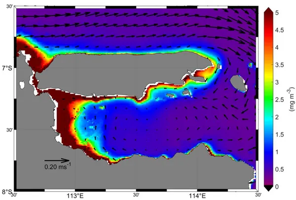 Gambar 6. Rata-rata bulanan distribusi klorofil-a dan arus permukaan pada bulan Juni 2019 di perairan Selat  Madura