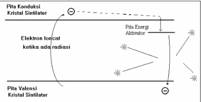 Gambar 8: proses terjadinya percikan cahaya di dalam sintilator  Jumlah percikan cahaya sebanding dengan energi radiasi diserap dan  dipengaruhi oleh jenis bahan sintilatornya