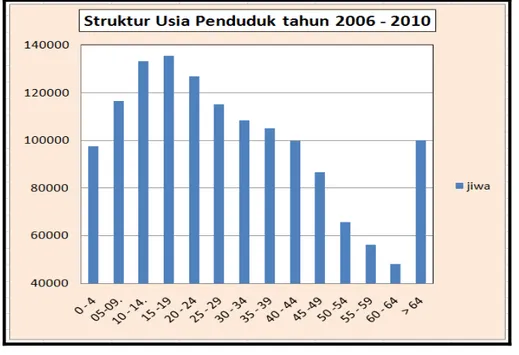 Grafik Struktur Penduduk Menurut Usia Tahun 2006-2010 