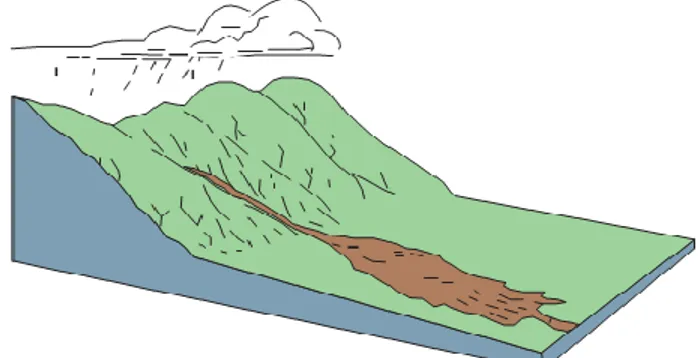Gambar 2. 8 Debris Flow (Highland and Bobrowsky, 2008)