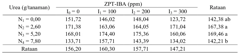 Tabel 3. Rataan panjang akar pada  pemberian pupuk nitrogen dan konsentrasi  ZPT-IBA  terhadap pertumbuhan vetiver  