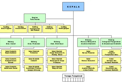 Gambar 3.1 Struktur organisasi BPS  Provinsi 