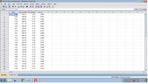 Gambar 5.4 Tampilan Jendela Pengisian Data View 