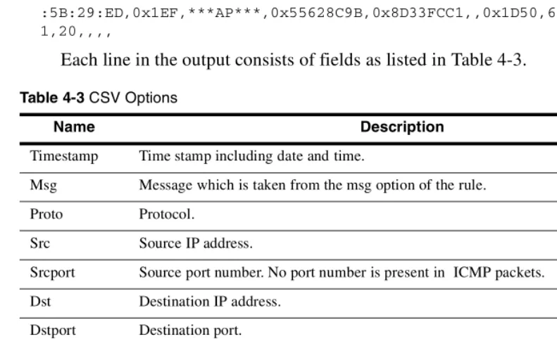 Table 4-3 CSV Options