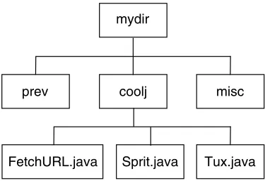 Figure 8.1 A sample directory structure prior to import