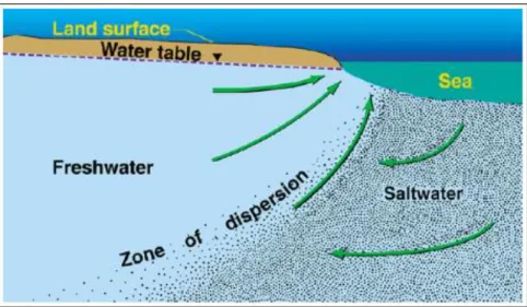 Gambar 1. Ilustrasi intrusi air laut di daerah pesisir [6]