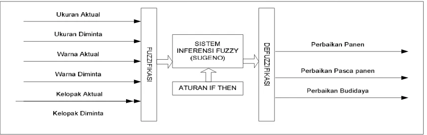 Gambar 6. Kerangka Sistem Pakar Fuzzy Strategi Peningkatan Kualitas Manggis 
