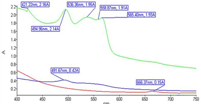 Figure 2. UV-Vis spectrum of acetone 80% (red), buffer phosphat pH 6.8 (green), and aquabidest (blue) extracts  of Halymenia sp.