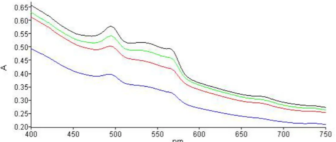Figure 2. UV-Vis Spectrum of buffer phosphate Halymenia sp. extract for 24 (brown), 48 (green), 72 (red), and 96 hours (blue) of extraction