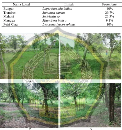 Tabel 4.2 Keberadaan vegetasi berkayu di lokasi pembanding  