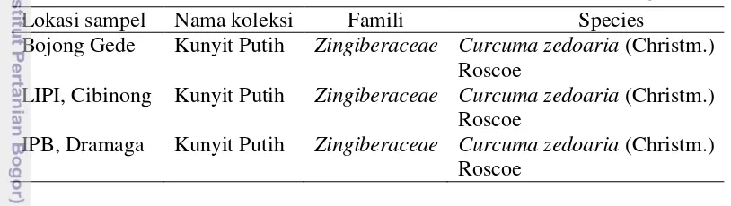 Tabel 3  Hasil identifikasi sampel tanaman kunyit putih di Herbarium Bogoriense 