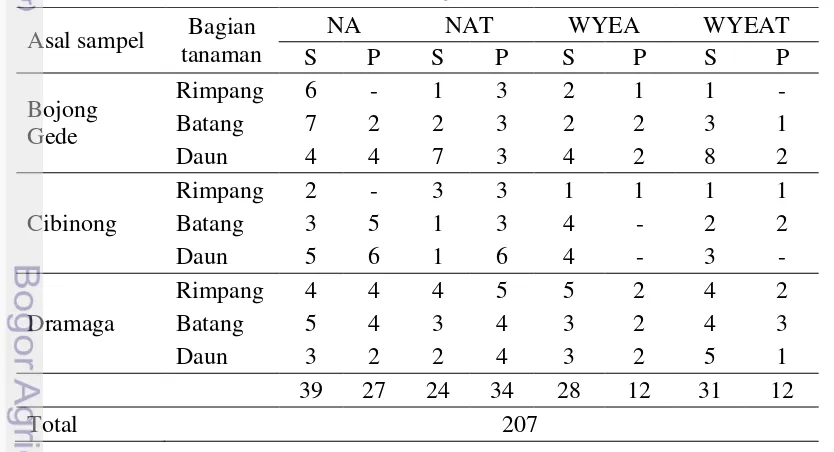 Tabel 4  Jumlah bakteri endofit terisolasi dari tanaman kunyit putih (C. zedoaria) 