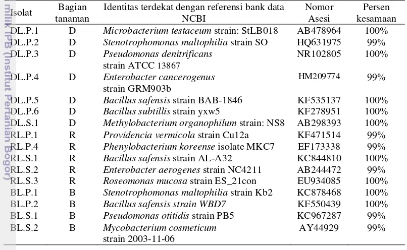 Tabel 6  Tingkat kesamaan sekuen 16S rDNA dari bakteri endofit tanaman kunyit 