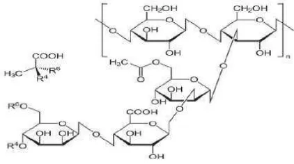 Gambar 1. Struktur kimia xanthan gum  
