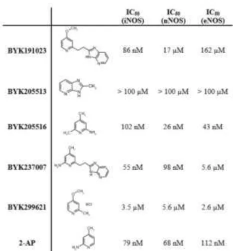Tabel 4. Struktur dan Potensi BYK191023 dan Analog Pada Isoform NOS Manusia (Copyright : Molecular Pharmacology Fast Forward Oct