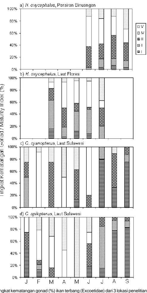 Gambar 2. Tingkat kematangan gonad (%) ikan terbang (Excoetidae) dari 3 lokasi penelitian di Indonesia