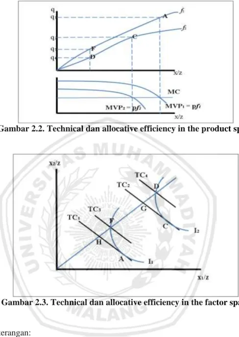 Gambar 2.2. Technical dan allocative efficiency in the product space 
