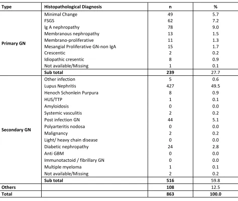 Table 1.3.3.3: HPE diagnosis in patients presenting with Nephritic-Nephrotic, 2005-2012 