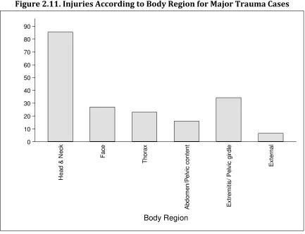 Figure 2.11. Injuries According to Body Region for Major Trauma Cases  