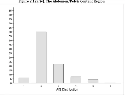 Figure 2.12a(iv). The Abdomen/Pelvic Content Region  