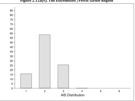 Figure 2.12a(v). The Extremities /Pelvic Girdle Region 