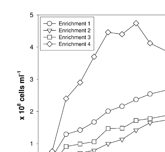 Table 2Growth and DMSP consumption characteristics of enrichment cultures