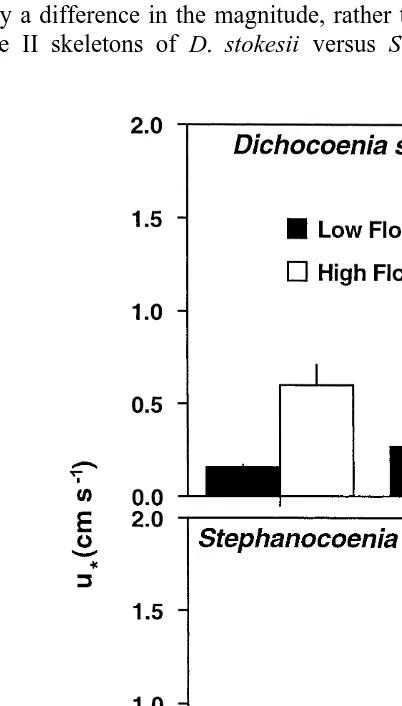 Fig. 2. u values (mean6S.E. for untransformed data, n 5 4 for each bar) measured above size I (10–20 mmdiam.) and size II (30–40 mm diam.) colonies of* Dichocoenia stokesii and Stephanocoenia michilini exposedto low (3.5760.18 cm s21) and high (17.3960.50 cm s21) ﬂow regimes.