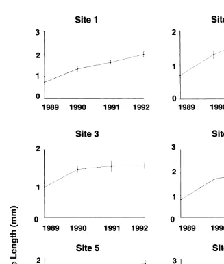 Fig. 5. Mean size of juvenile (,1 mm) barnacles (n518) measured at the end of each year from 1989 to 1992in each of six sites at low, mid and upper heights of Chamaesipho’s distribution.