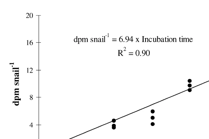 Fig. 2. Accumulation of radioactivity in the gut of1microalgae) as a function of time