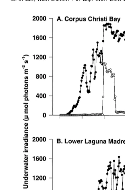 Fig. 1. Underwater photon ﬂux density recorded at seagrass canopy height during July 16, 1996 in CorpusChristi Bay (A) and during July 28, 1996 in lower Laguna Madre (B).