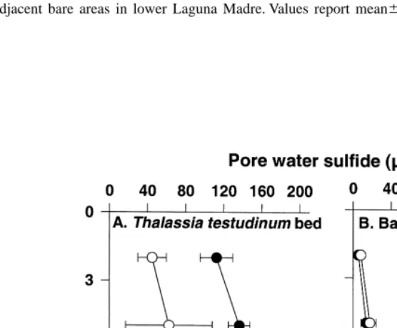 Fig. 5. Changes of sediment pore water sulﬁde concentrations during daytime in Thalassia testudinumand adjacent bare areas in lower Laguna Madre