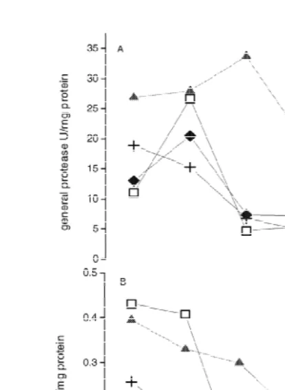 Fig. 2. General protease (A) and amylase (B) activity in L. setiferus fed different diets