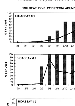 Fig. 4. Results of ﬁsh bioassay II. Bars indicate percent of ﬁsh (10) deaths over time in reference toconcentrations of Pﬁesteria piscicida zoospores ml21in culture vessels [1–3.