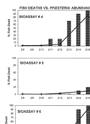 Fig. 5. Results of ﬁsh bioassay III. Bars indicate percent of ﬁsh (10) deaths over time in reference toconcentrations of Pﬁesteria piscicida zoospores ml21in culture vessels [4–6.