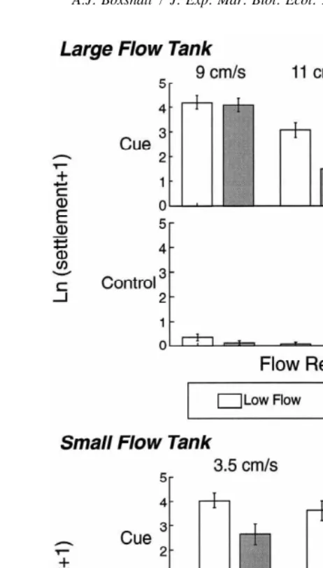 Fig. 3. The mean Ln(settlement 1 1) (6S.E. from four replicate casts) of abalone larvae onto cued and controlsurfaces in high- and low-velocity regions from all ﬂow tank experiments.